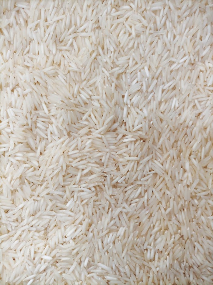 Detailed close-up view of basmati rice grains displaying texture and uniformity.